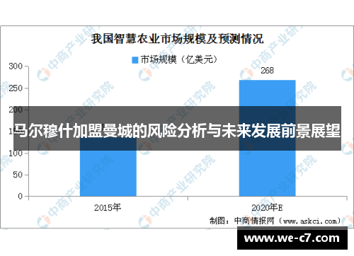 马尔穆什加盟曼城的风险分析与未来发展前景展望