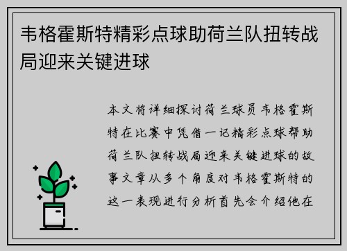 韦格霍斯特精彩点球助荷兰队扭转战局迎来关键进球 韦格霍斯特精彩点球助荷兰队扭转战局迎来关键进球